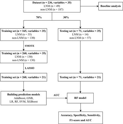 Hematological indicator-based machine learning models for preoperative prediction of lymph node metastasis in cervical cancer